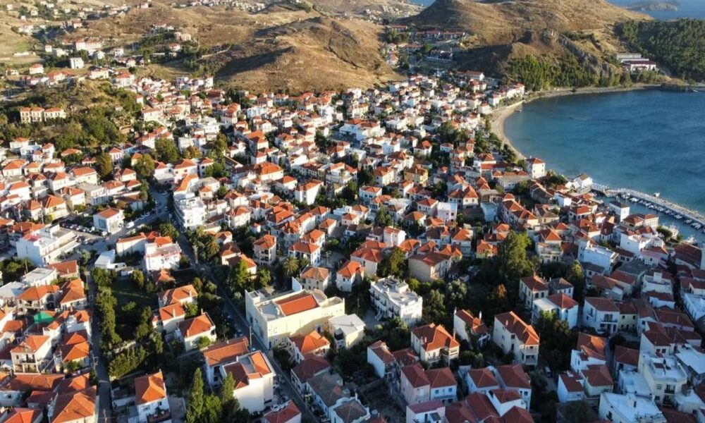 a city with red roofs and trees and a body of water