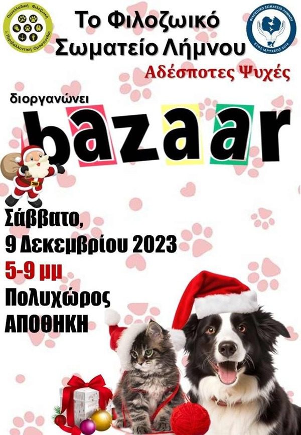 bazzar 1