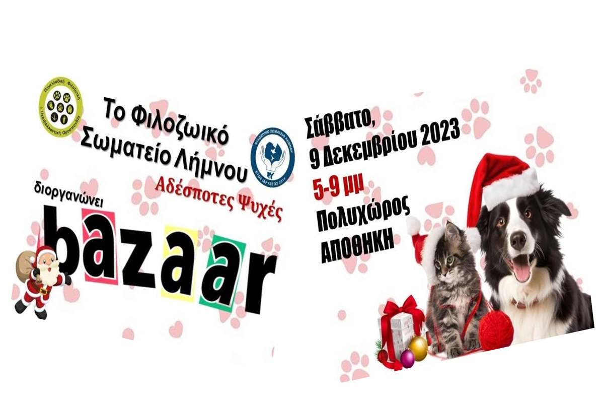 filo bazzar