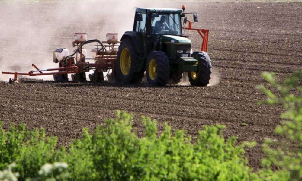 a person planting a plant in the dirt