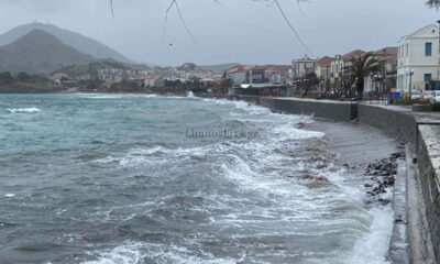 a body of water with buildings in the background