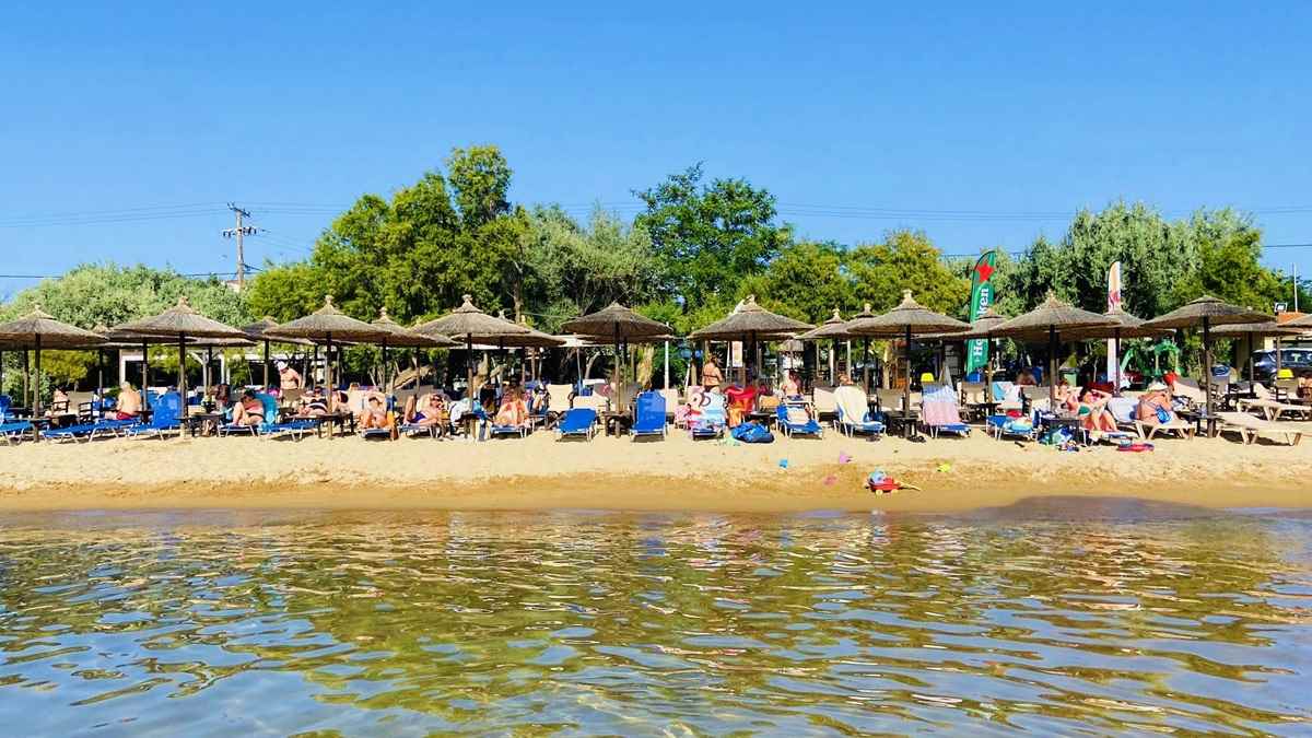 a group of people on a beach