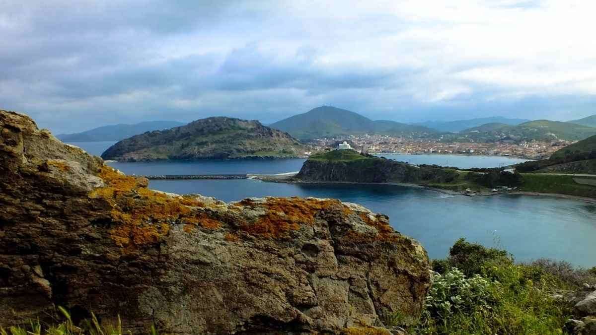 LIMNOS psila