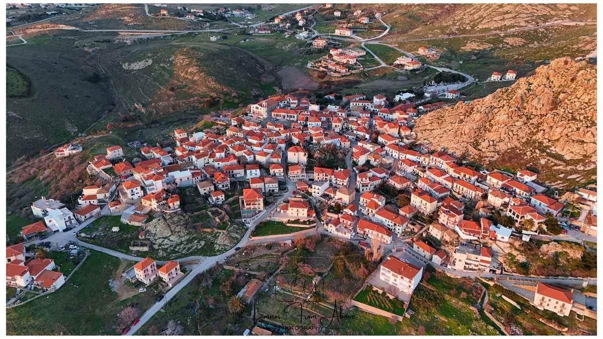 a group of houses with red roofs