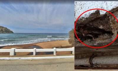 a close-up of a beach