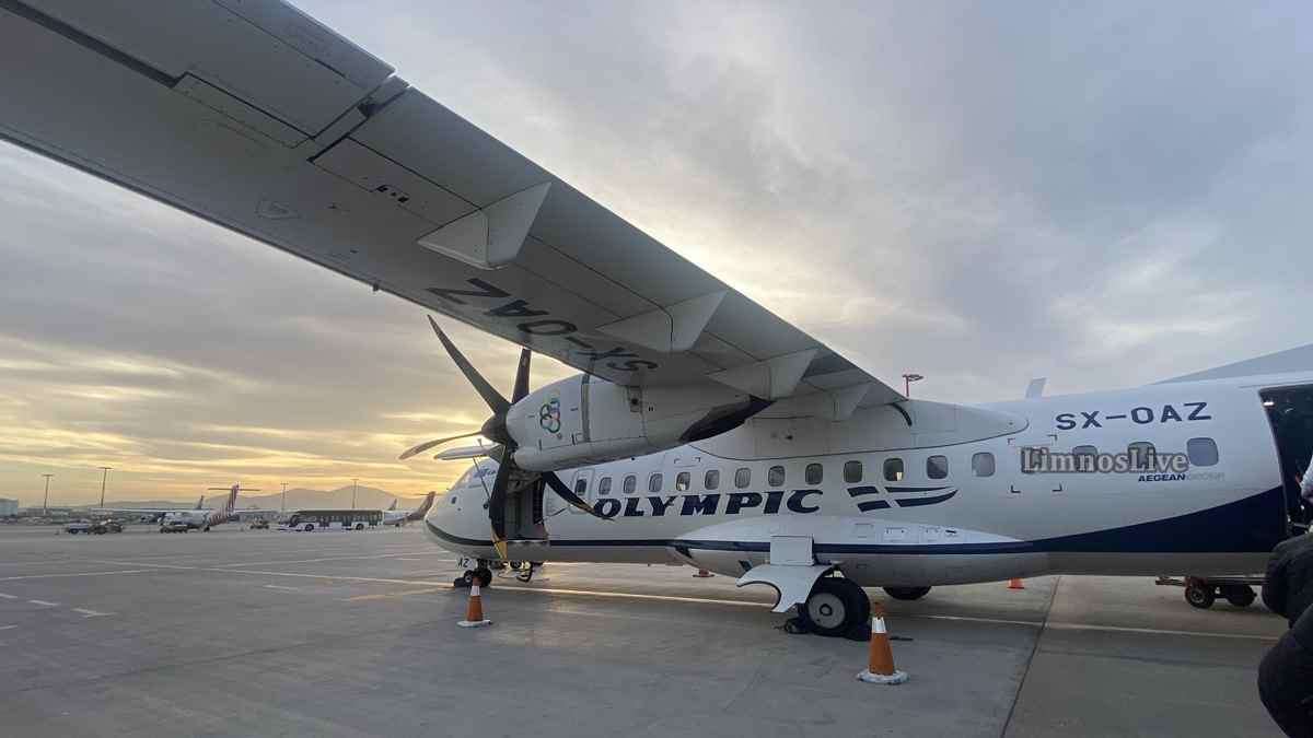 a bird flying over water