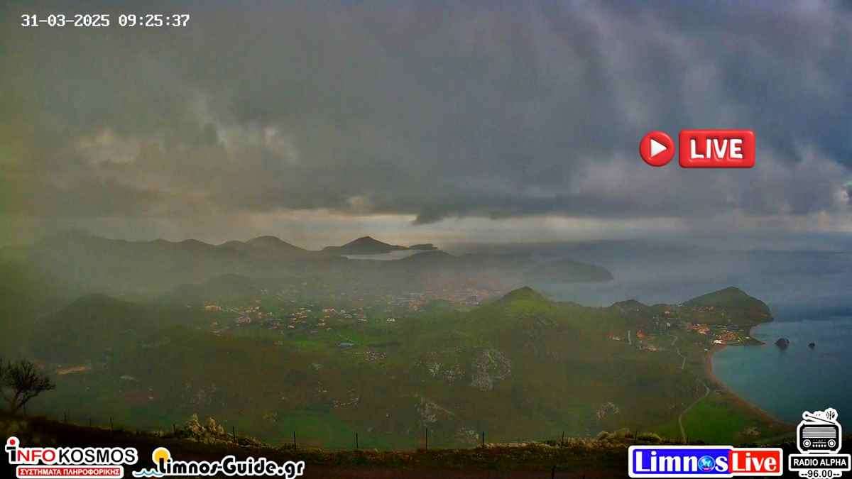 cam1 1