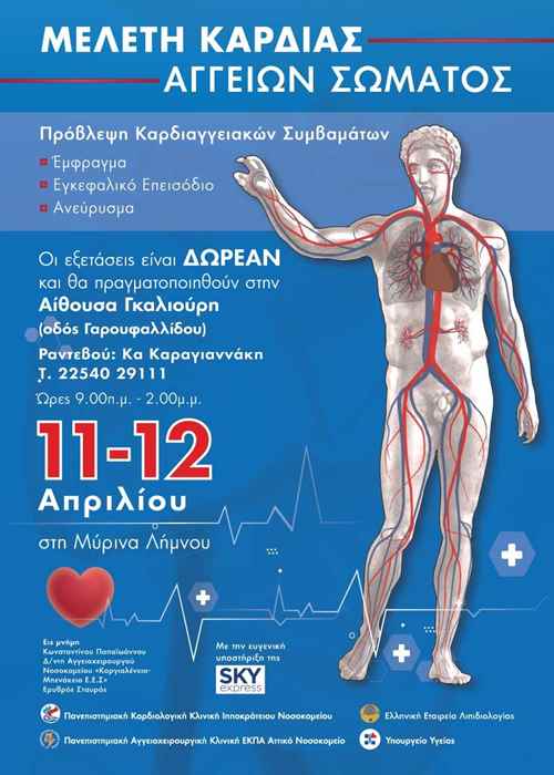 a poster with a human body and blood vessels