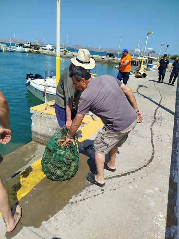 Moudros katharismos 11