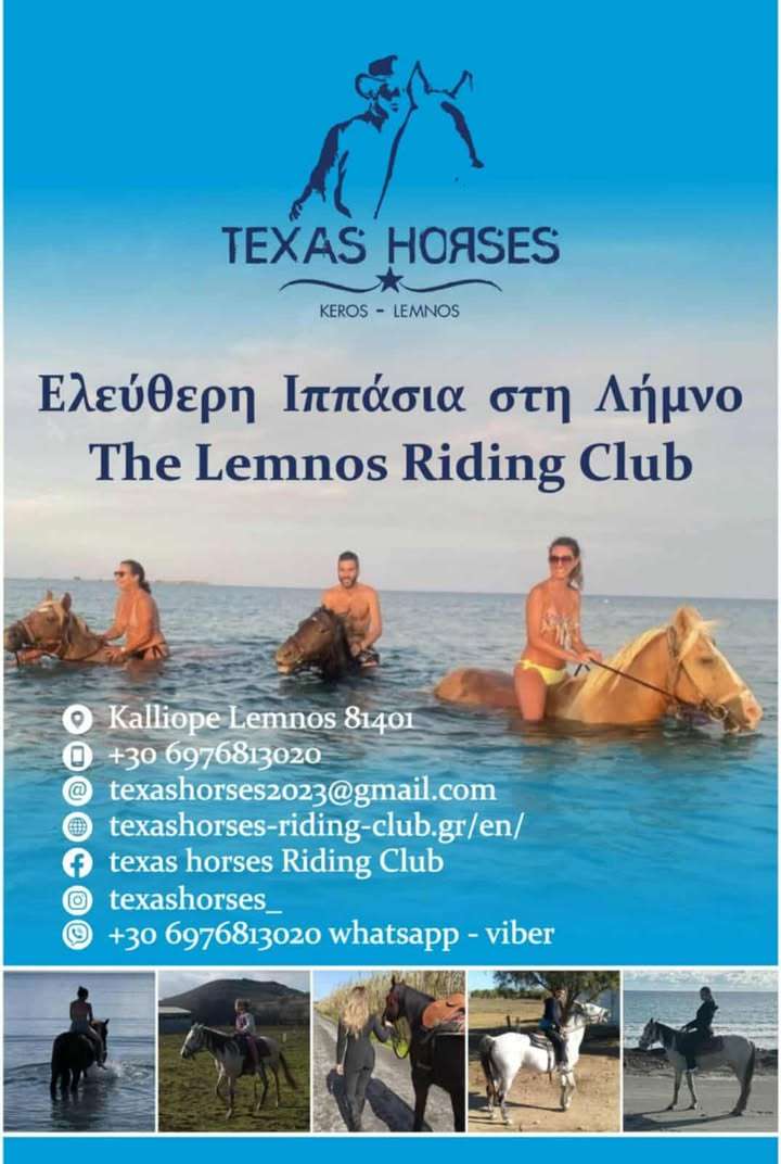 Texas Horses Riding Club: Ζήσε τη Λήμνο αλλιώς! 49