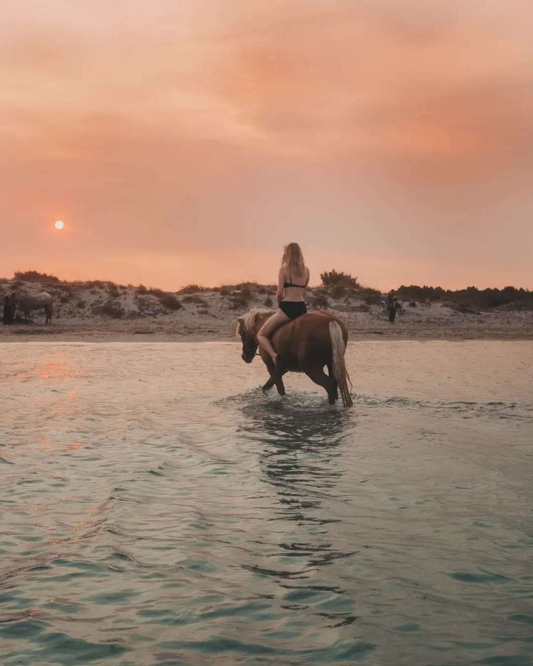 Texas Horses Riding Club: Ζήσε τη Λήμνο αλλιώς! 46