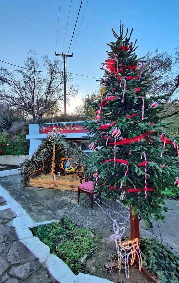 KAMINIA XMAS5