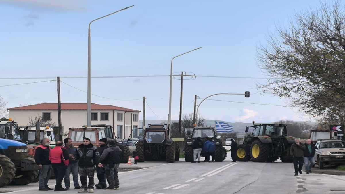 agrotes mploka limnos