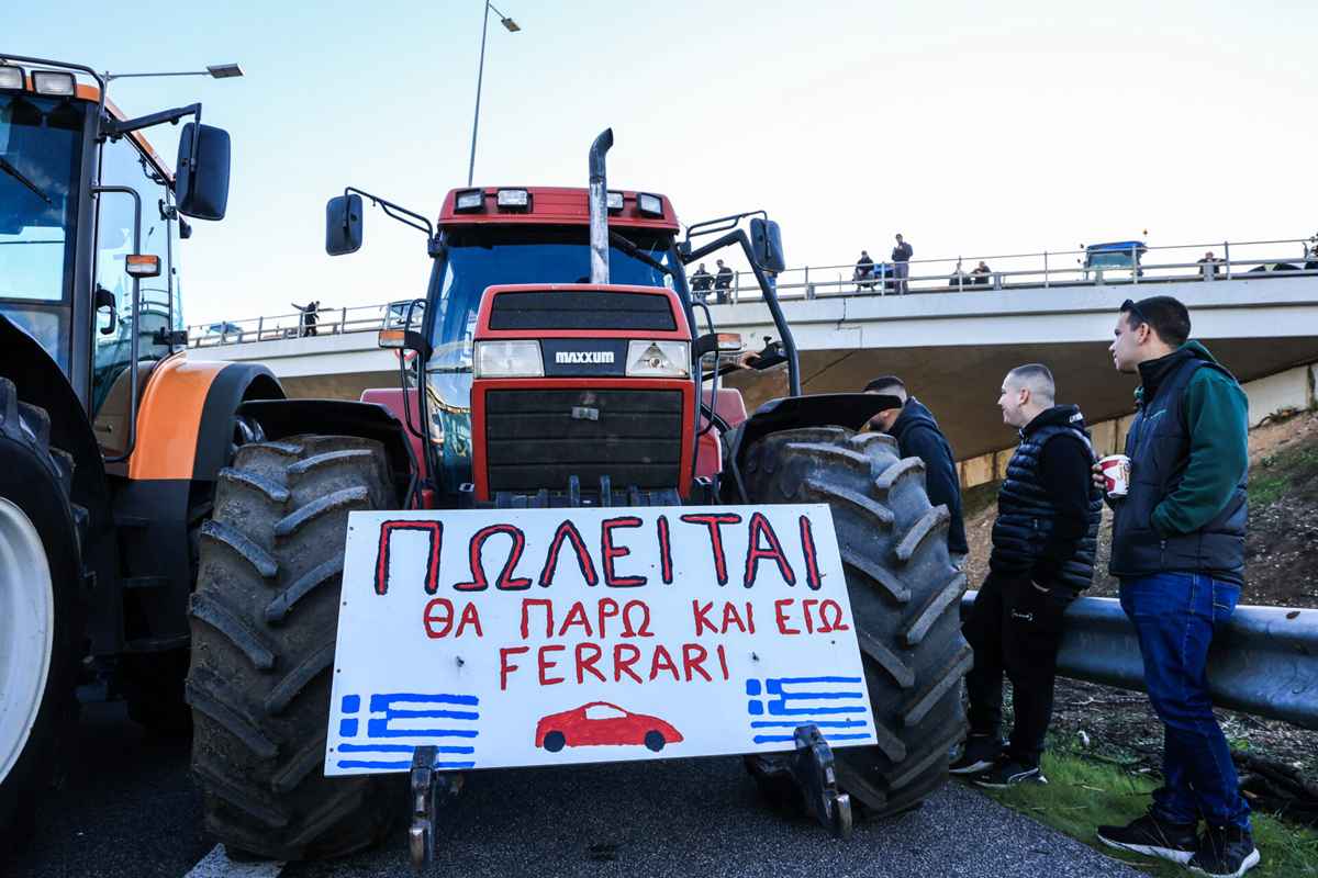 agrotes