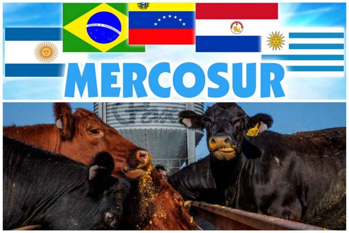 mercosur 1