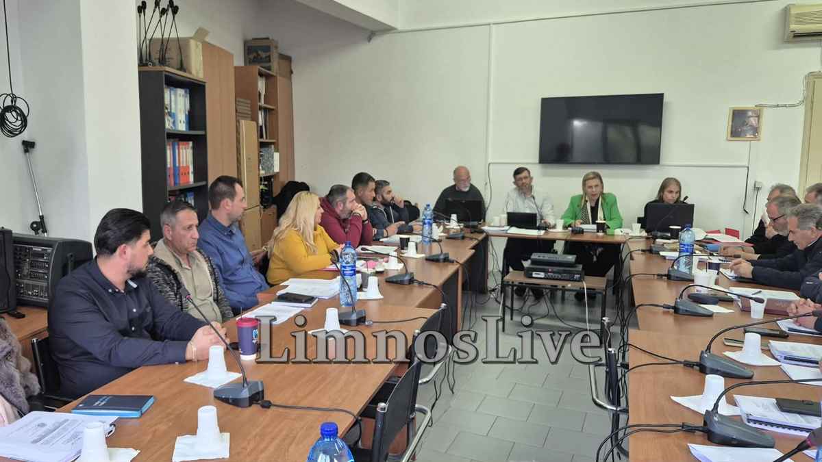 dimotiko symvoulio 14