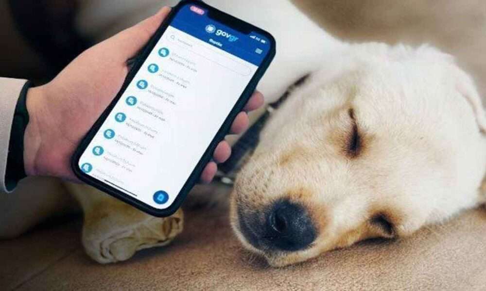 ethniko mitroo zoon syntrofias