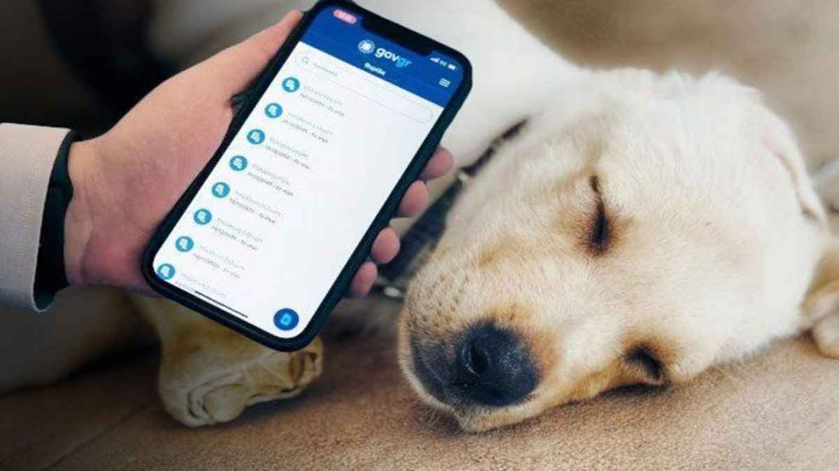 ethniko mitroo zoon syntrofias