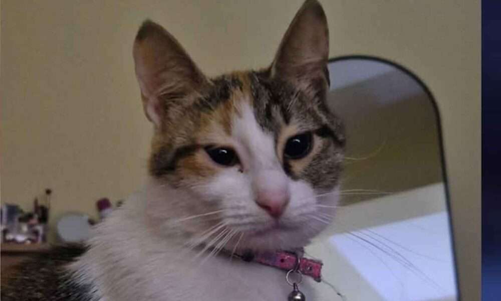 Mia