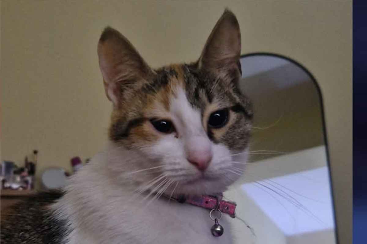 Mia