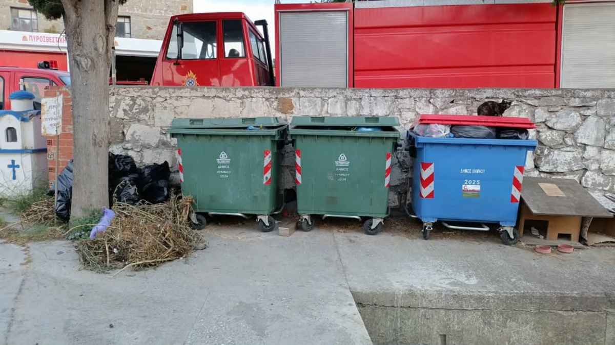 Στο ίδιο έργο θεατές στη Μύρινα: Γέμισαν πάλι οι κάδοι – «Κάθε χρόνο και χειρότερα» λέει αγανακτισμένος κάτοικος (εικόνες) 41 SKOUPIDIA 4