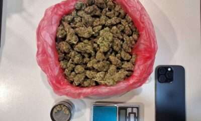 Skunk