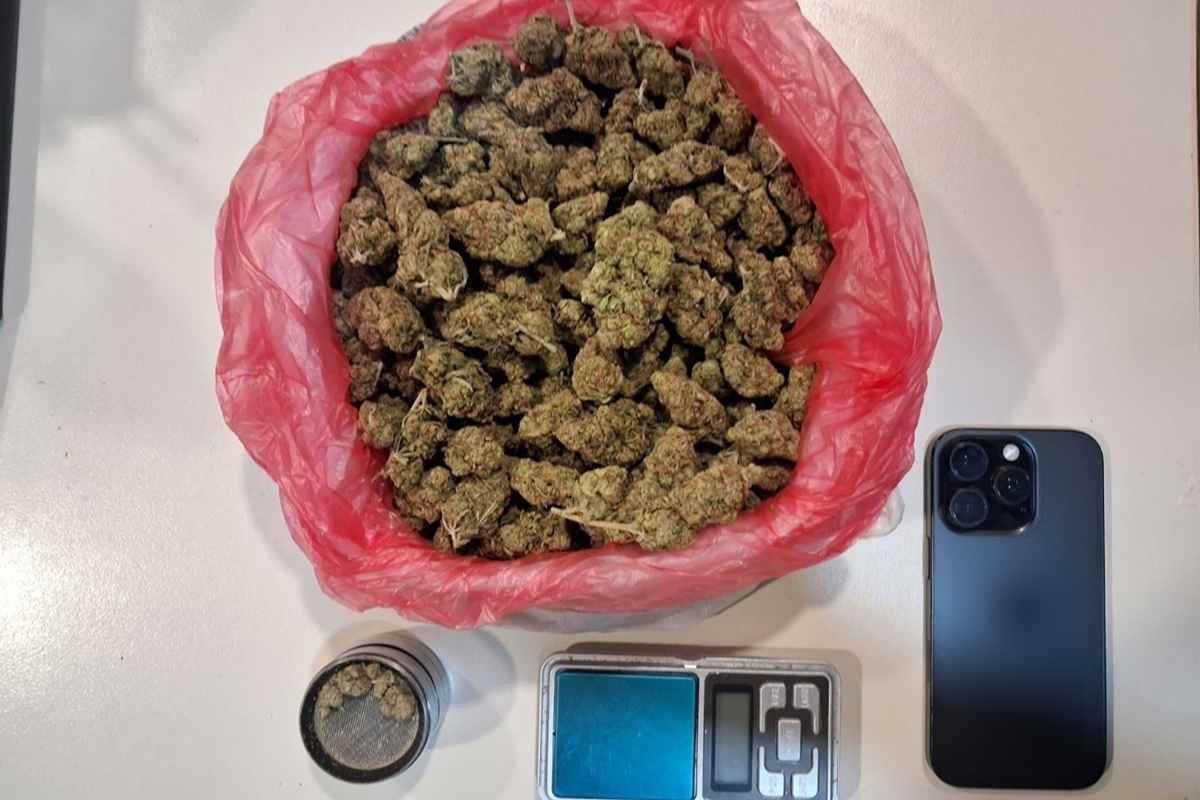 Skunk