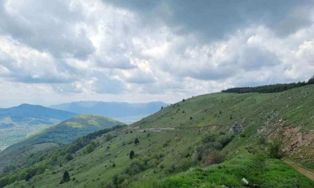 Vitsi