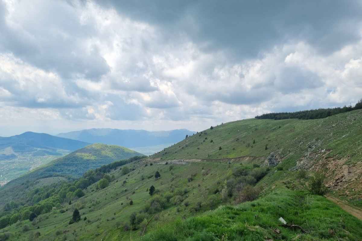 Vitsi
