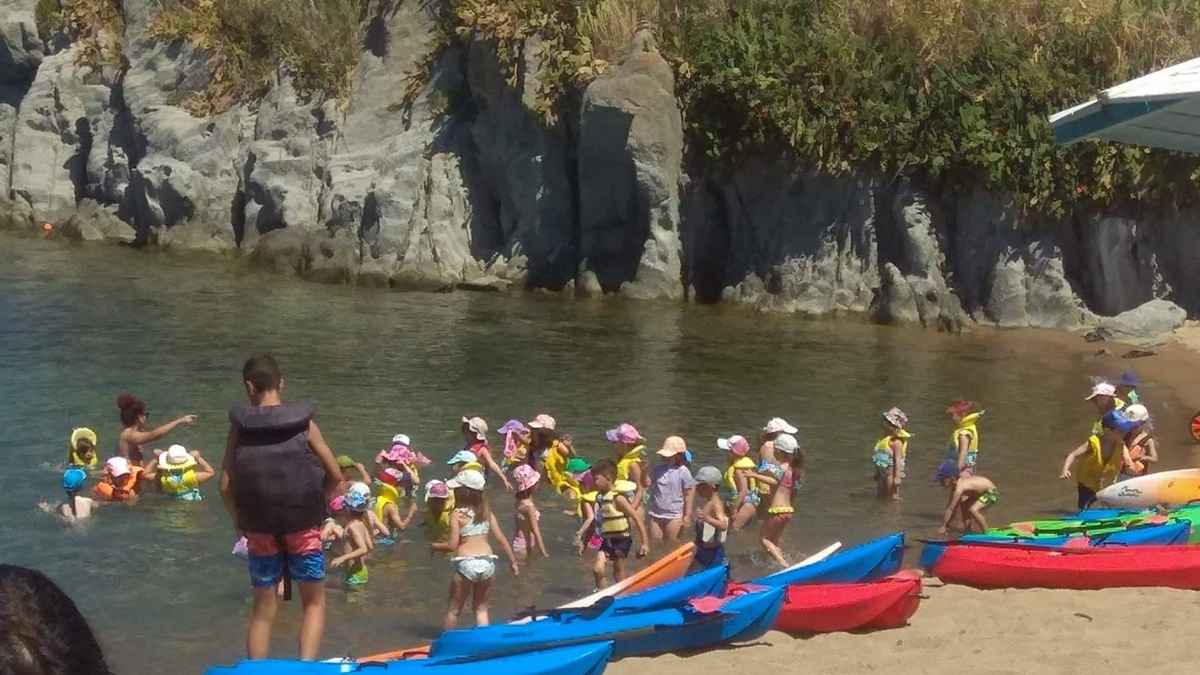 NOL CAMP 8