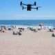 aade DRONE