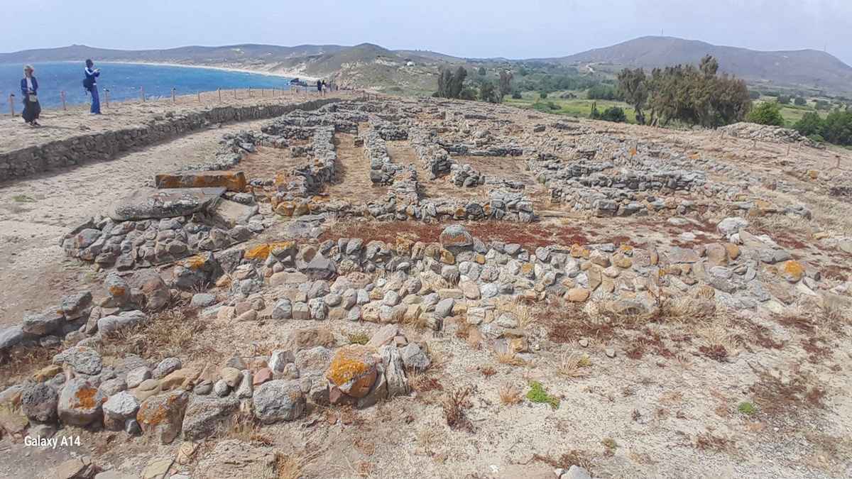arxaia limnos 1