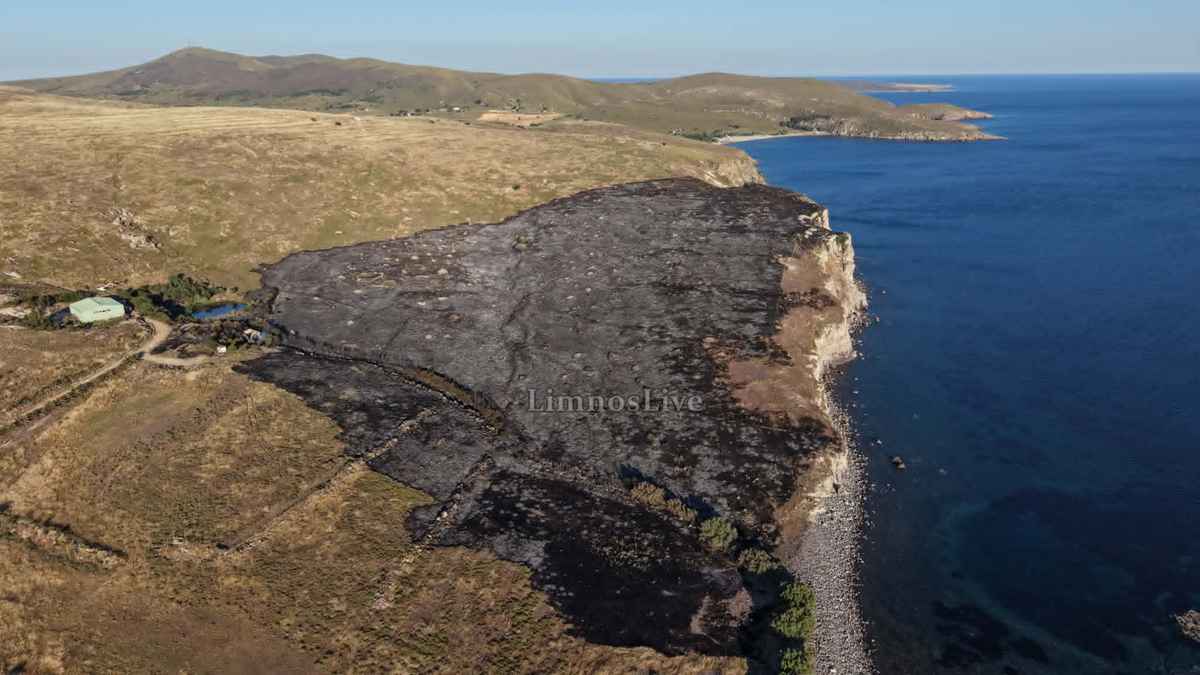 Λήμνος: Η σημερινή φωτιά έφτασε στο χείλος του γκρεμού... Σώθηκαν εγκαταστάσεις στο "πάρα πέντε" - Δείτε εικόνες 40 fotia 3