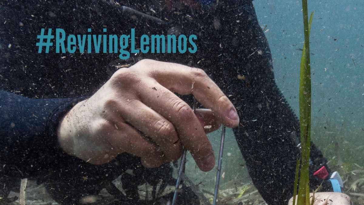 iSea PR Lemnos