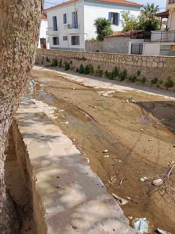 rema agias triadas 2