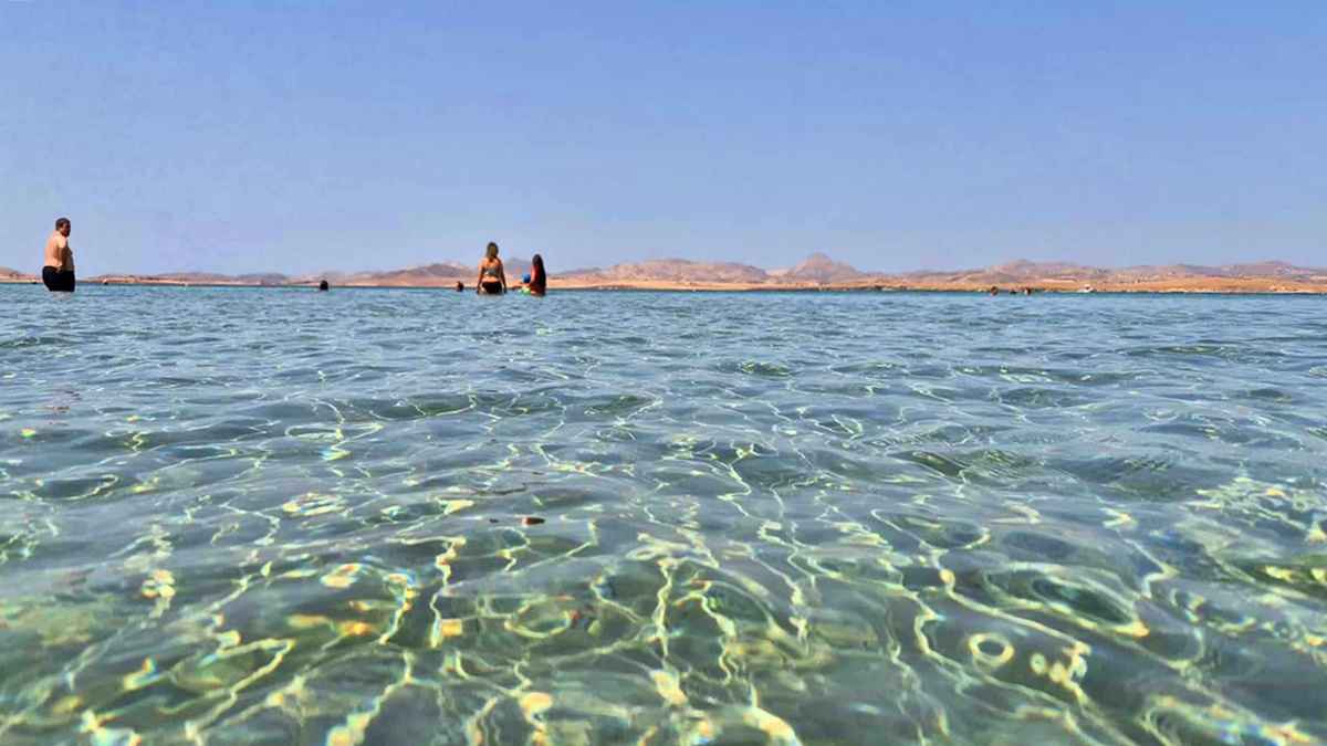to dasaki 1