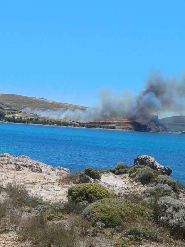 Λήμνος: Έσβησε η φωτιά στο Φαναράκι: Αστιβιές κατέκαψαν οι φλόγες! 34 Χωρίς τίτλο 2