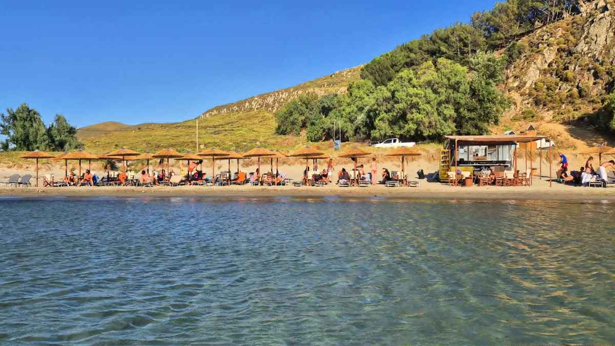 Blue Island: Η παραλία στη Χαβούλη που λατρεύουν οι λουόμενοι και... οι κατσίκες που έγιναν celebrities! (εικόνες) 46 IOYLIOS BLUE 5