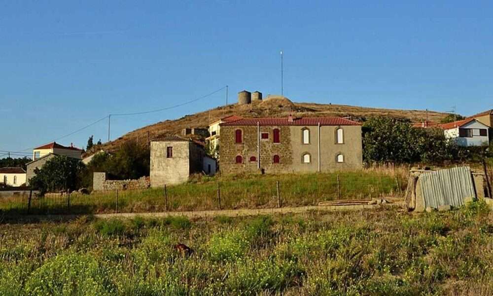 Repanidi