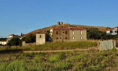 Repanidi