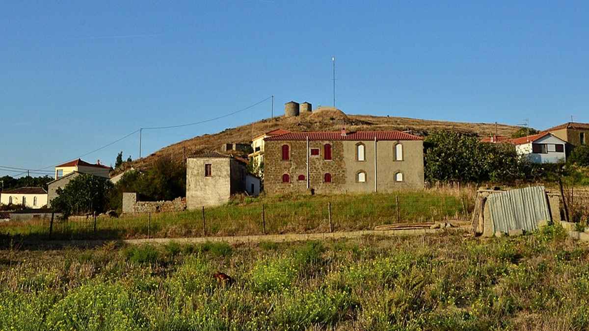 Repanidi