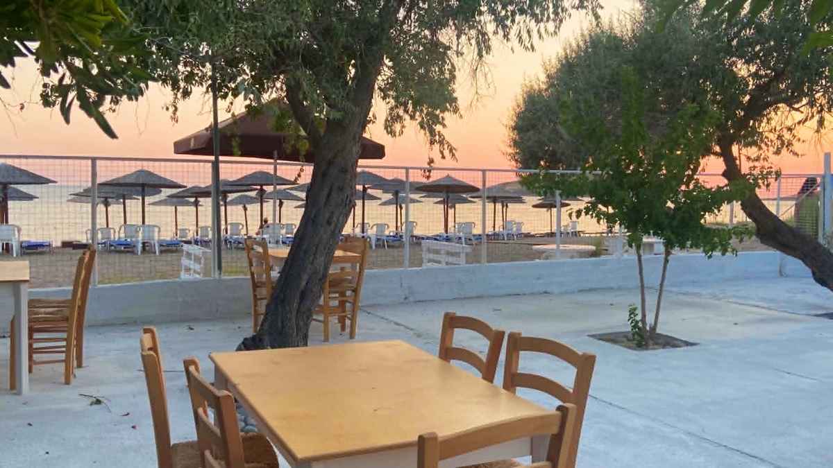 TAVERNA 7