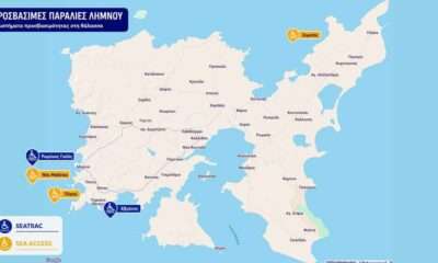 amea paralies