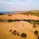 ammothines limnos