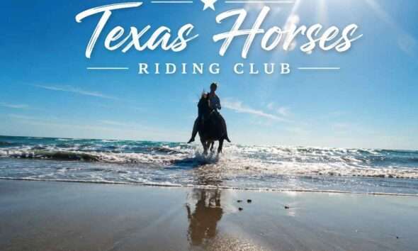texas horse 1