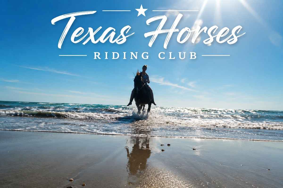 texas horse 1