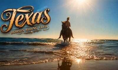 texas horse
