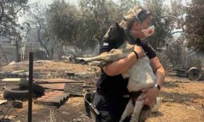 ASTINOMIKOS KATSIKAKI