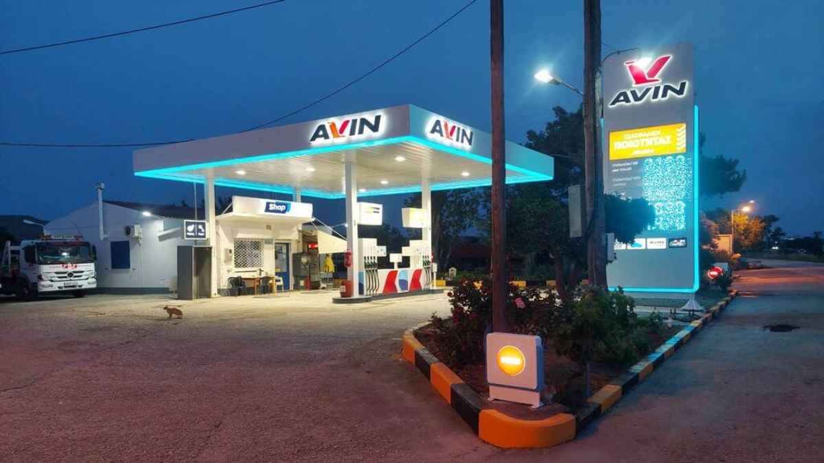 AVIN TSAPSALIS 1