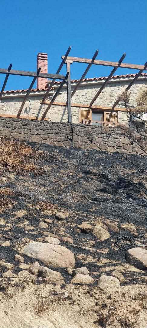 Η φωτιά στο Θάνος πέρασε από το «Κτήμα Ήφαιστος», οι εικόνες της καταστροφής και η μαρτυρία των ιδιοκτητών (βίντεο - εικόνες) 57 fotia ktima ifaistos 20